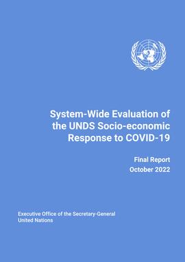 System-Wide Evaluation of the UNDS Socio-economic Response to COVID-19: Final Report