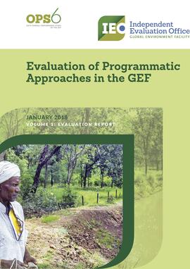 Evaluation of Programmatic Approaches in the GEF